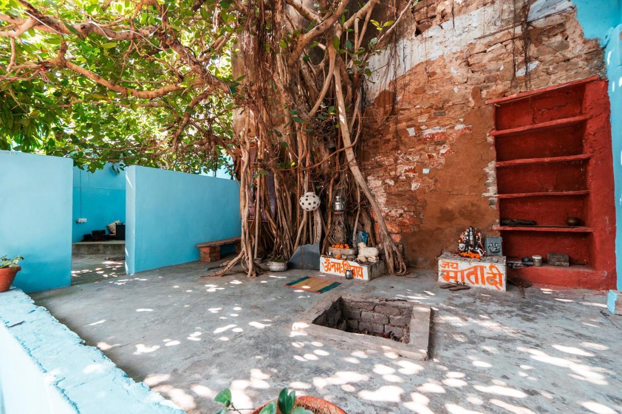 12 Monks Backpackers Community Vandrarhem Pushkar Exteriör bild